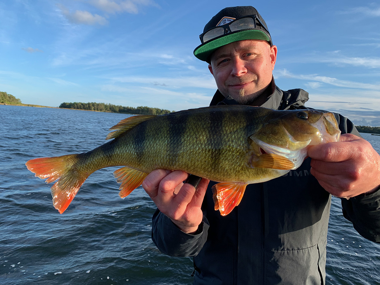 Z-Man Scented ShrimpZ 7,6 cm